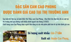 Đặc sản cam Cao Phong được đánh giá cao tại thị trường Anh