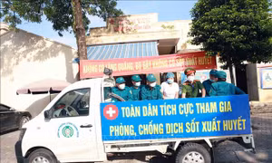 Hà Nam: Giám sát, điều tra các ca bệnh nghi mắc sốt xuất huyết