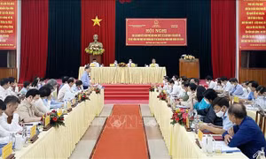 Giám sát việc dừng thực hiện chủ trương đầu tư dự án điện hạt nhân Ninh Thuận
