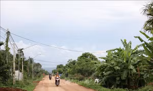 Vụ tấn công tại Đắk Lắk: Phát huy thế trận lòng dân, bảo vệ vững chắc an ninh Tổ quốc