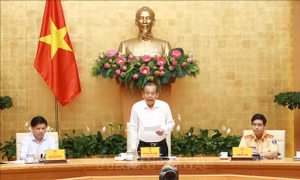 Không có chuyện chủ doanh nghiệp lại không biết lái xe sử dụng rượu bia, ma túy