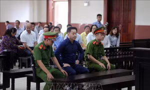 Hoãn xét xử phúc thẩm Trần Phương Bình, Vũ 'nhôm'