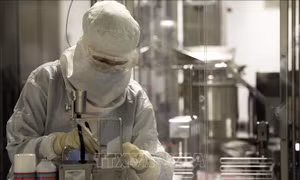 Hãng Eli Lilly dừng thử nghiệm thuốc điều trị COVID-19 bằng kháng thể