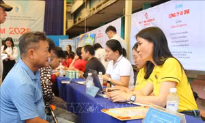 Đảm bảo việc làm, môi trường làm việc bình đẳng cho người khuyết tật