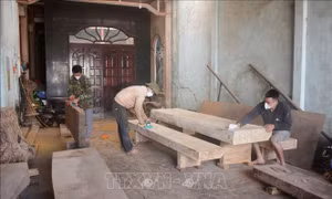 Hành trình hoàn lương, gieo những hạt lành