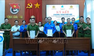Hỗ trợ thanh niên tái hòa nhập cộng đồng