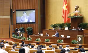 Hài hòa quyền lợi giữa Nhà nước và chủ đầu tư trong hoạt động đấu thầu