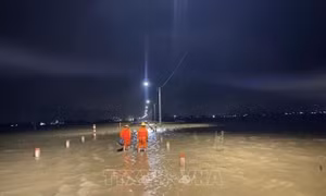 Trên 77.800 khách hàng khu vực miền Trung - Tây Nguyên được cấp điện trở lại