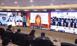Việt Nam và Wallonie-Bruxelles thông qua 27 dự án hợp tác giai đoạn 2022-2024