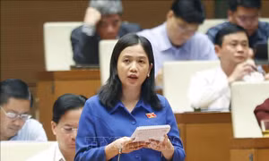 Chú trọng phát triển lưu trữ tư nhân