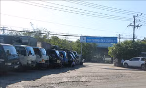 Chủ động phòng ngừa ùn tắc phương tiện đăng kiểm