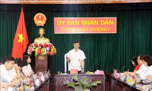 Giám sát triển khai thực hiện Luật Thanh niên tại Hải Dương