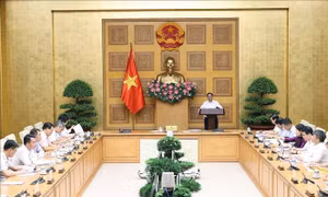 Thủ tướng chủ trì phiên họp Ban Chỉ đạo quốc gia về tài chính toàn diện
