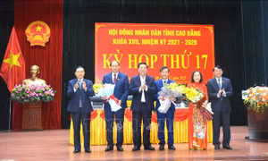 Phê chuẩn kết quả bầu ông Hoàng Văn Thạch làm Phó Chủ tịch UBND tỉnh Cao Bằng