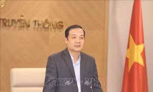 Xử phạt 3 tỷ đồng đối với các doanh nghiệp viễn thông vi phạm quản lý thuê bao