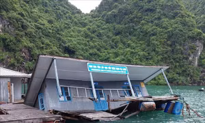 Khắc phục sự cố Khu Bảo tồn lớp học làng chài trên vịnh Hạ Long bị chìm