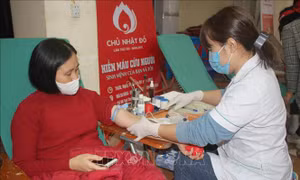 Lan tỏa phong trào hiến máu tình nguyện tại Ngày Chủ nhật đỏ