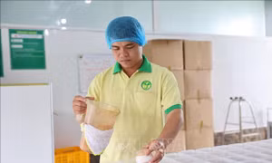 Nông dân trẻ 'ươm mầm' nông nghiệp 4.0