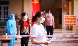 Xác định quyền bỏ phiếu của cử tri đang thực hiện cách ly