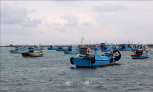 Từ 6 giờ ngày 26/10, Bình Thuận nghiêm cấm tàu, thuyền ra khơi