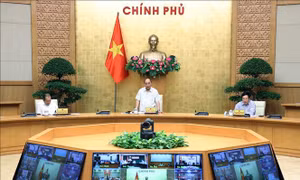 'Nóng' ngày 27/8: Vẫn còn nguy cơ xuất hiện dịch trong cộng đồng; công bố phân tích phổ điểm thi tốt nghiệp THPT 