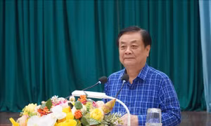 Đánh giá thuận lợi và khó khăn trong vận hành đơn vị hành chính cấp xã tại Đồng Tháp