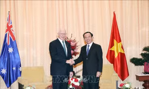 Lãnh đạo Thành phố Hồ Chí Minh tiếp Toàn quyền Australia