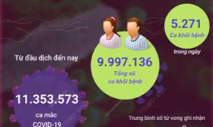 Ngày 10/8: Có 2.010 ca mắc mới COVID-19, 5.271 F0 khỏi bệnh