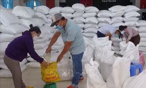 Phú Yên: Hoàn tất cấp gạo hỗ trợ của Chính phủ cho người dân gặp khó khăn