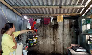 'Sống mòn' bên dự án 'treo' đường sắt Yên Viên - Cái Lân - Bài 1: Mòn mỏi đợi điều chỉnh dự án