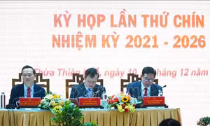 Xây cầu Bình Thành mới sau vụ xe chở rác rơi xuống sông