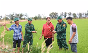 Ngày Biên phòng toàn dân 3/3: Tiếp sức cho người dân vùng biên