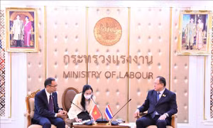 Việt Nam và Thái Lan thúc đẩy hợp tác về lao động