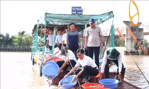 Thả tôm, cá tái tạo nguồn lợi thủy sản