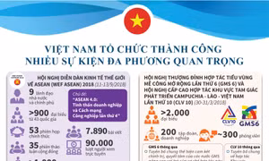  Việt Nam tổ chức thành công nhiều sự kiện đa phương quan trọng
