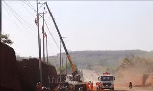 Di dời tạm thời đường điện sau phản ánh của Thông tấn xã Việt Nam