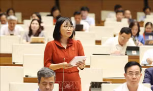 Cần sớm hoàn thiện hành lang pháp lý về quản lý thuốc lá điện tử