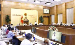 Ủy ban Thường vụ Quốc hội cho ý kiến về dự thảo một số bộ luật