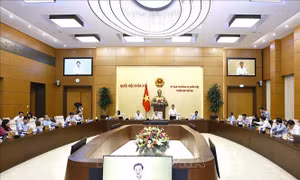 Hoàn thiện dự thảo Luật sửa đổi, bổ sung một số điều của Bộ luật Hình sự