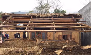 Dông lốc gây thiệt hai nặng nề nhiều nơi ở Hà Giang 