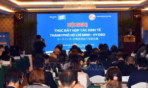 Thúc đẩy hợp tác kinh tế giữa TP Hồ Chí Minh và tỉnh Hyogo, Nhật Bản