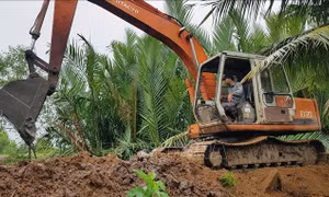 ​Sóc Trăng: Khẩn trương khắc phục, gia cố đê bao để ứng phó với triều cường