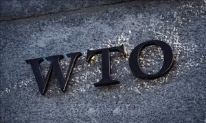 WTO: Tốc độ tăng trưởng thương mại hàng hóa toàn cầu đang chậm lại