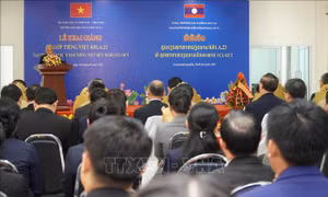 Việt Nam giúp nâng cao năng lực tiếng Việt cho cán bộ, nhân viên ngành công nghệ - truyền thông Lào