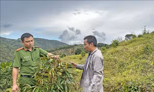 Nâng đỡ những mảnh đời lầm lỡ