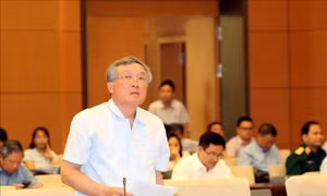 Giám sát, kiểm soát chặt chẽ việc ban hành văn bản quy phạm pháp luật 