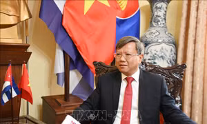 80 năm Quốc khánh: Việt Nam đạt những thành tựu to lớn, mang tính lịch sử trên mọi lĩnh vực