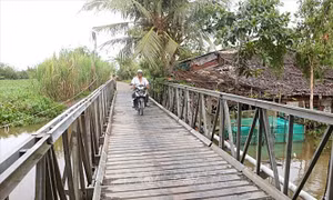 Sụp lún cầu ở Sóc Trăng: Hoàn thành khắc phục giúp người dân lưu thông dễ dàng