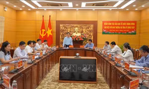Đồng Tháp chú trọng công tác xây dựng Đảng, đoàn thể và phát triển đảng viên