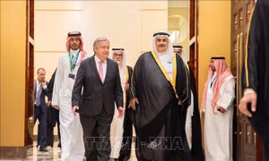 Các quốc gia Arab kêu gọi cộng đồng quốc tế công nhận nhà nước Palestine